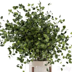 Indoor Plants in rusty Concrete Pot Set 3