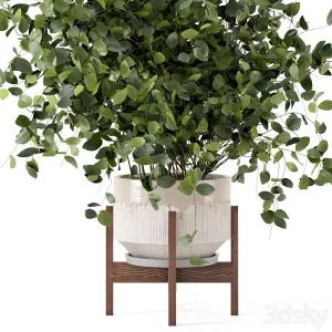 Indoor Plants in rusty Concrete Pot Set 3