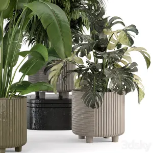 Indoor Planters in Cecilia Ficonstone Pot Set