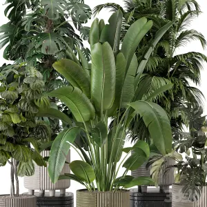 Indoor Planters in Cecilia Ficonstone Pot Set