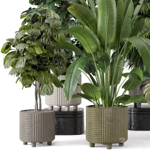 Indoor Planters in Cecilia Ficonstone Pot Set
