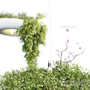 Chandelier Plant Pot