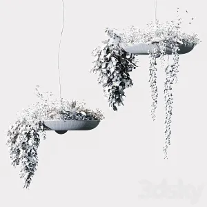 Chandelier Plant Pot