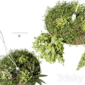 Chandelier Plant Pot