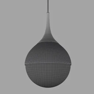 Pendant Lamp Poise