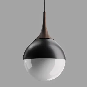 Pendant Lamp Poise