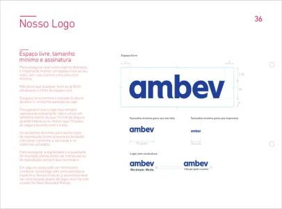 Ambev 2013