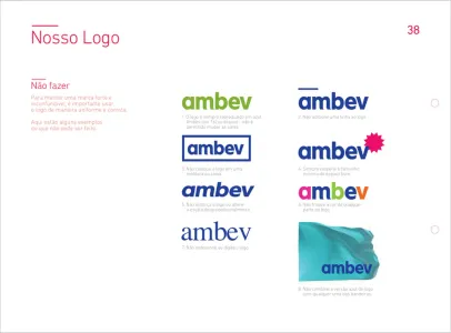Ambev 2013