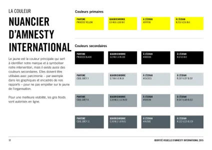 Amnesty