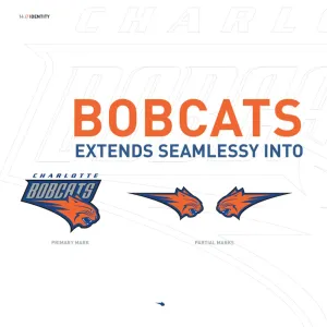 Bobcats 2004