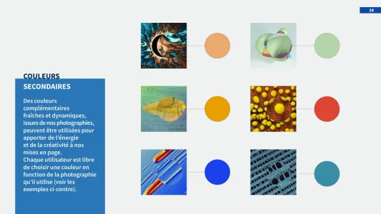 Cnrs