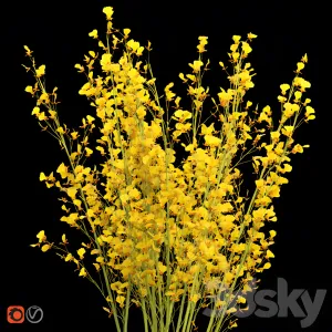 Big bouquet orchid oncidium in vase