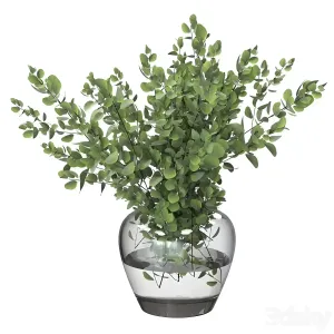 Bouquet green