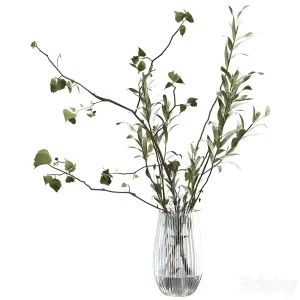 Bouquet of branches