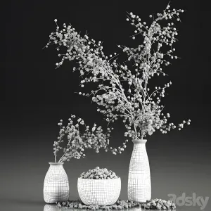 Bouquet of branches with berries