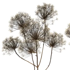 Bouquet of dried flowers in a glass vase