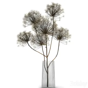 Bouquet of dried flowers in a glass vase