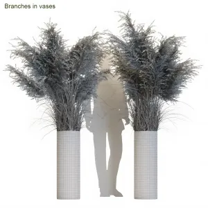 Branches in vases