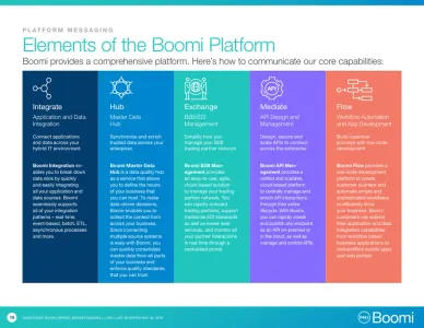Dell Boomi