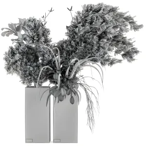 Dry plants dried plant pampas