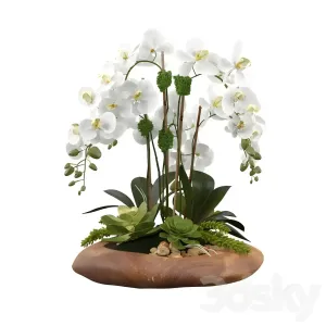 Phalaenopsis silk orchids