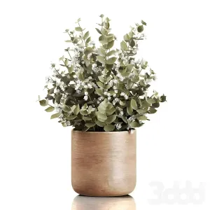 Plants bouquet
