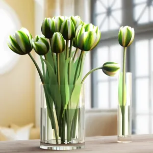 Tulipa in lucescu