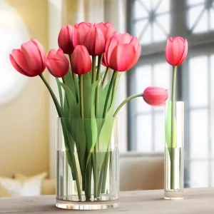 Tulipa in lucescu