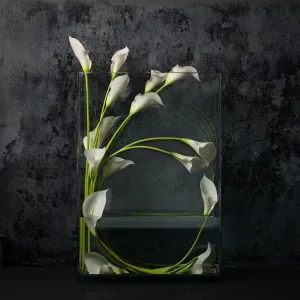 White calla