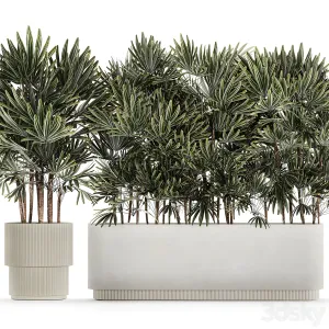 A collection of lush bushes of thickets of plants