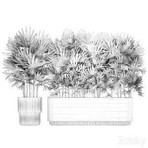 A collection of lush bushes of thickets of plants