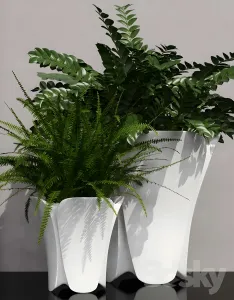 Barcelona design flowerpots