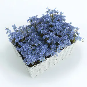 Basket with forget me