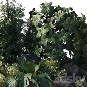 Collection outdoor indoor pot plant