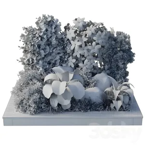 Collection outdoor indoor pot plant