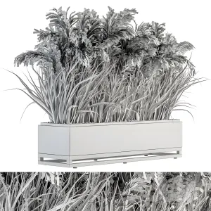 Indoor plant dried plant box