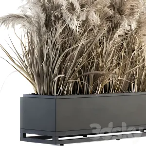 Indoor plant dried plant box