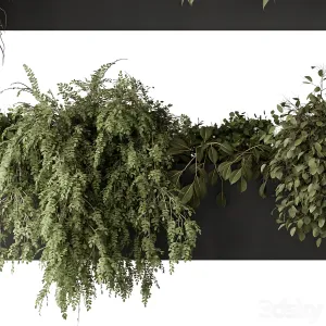 Indoor plant hanging plants
