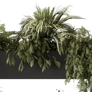 Indoor plant hanging plants