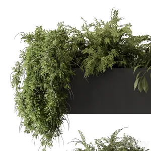Indoor plant hanging plants
