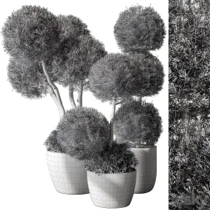Outdoor plant