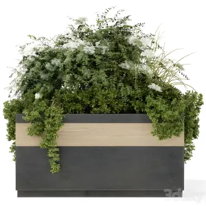 Outdoor plant