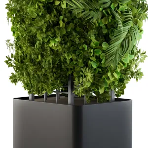 Outdoor plant box vertical garden