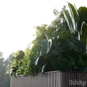 Outdoor plant collection