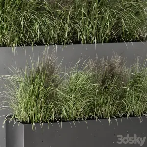 Outdoor plants bush in rusty concrete pot