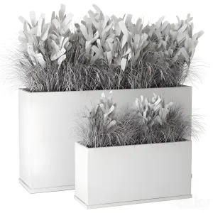 Outdoor plants bush in rusty concrete pot