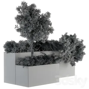 Outdoor plants concrete box