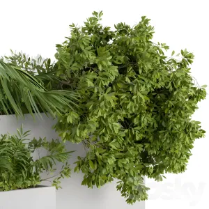 Outdoor plants concrete box