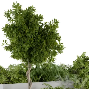 Outdoor plants concrete box