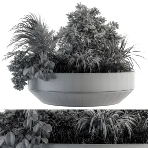 Outdoor plants tree in concrete pot